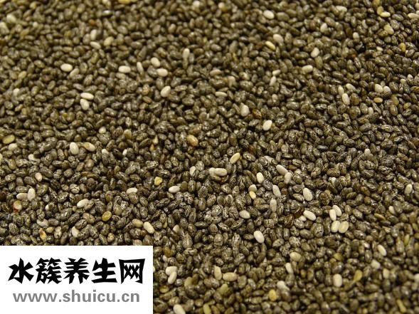 甘藍是什么