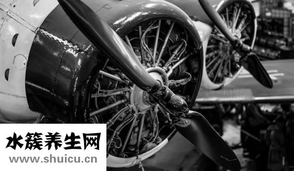 貞操是什么