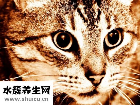 如何去眼紋