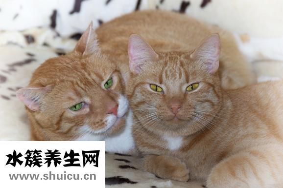 如何去紅血絲