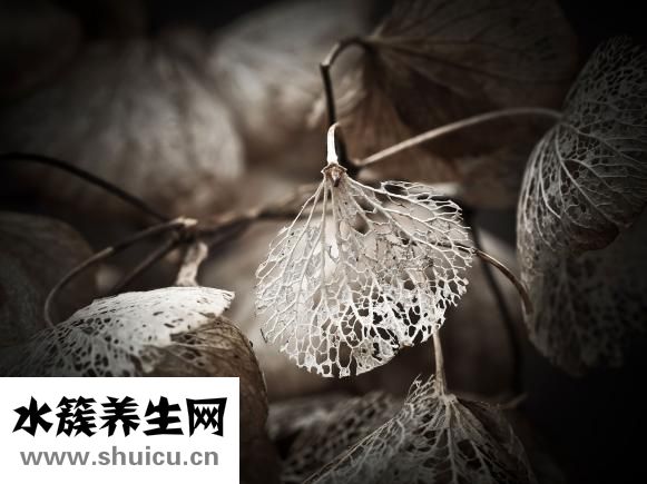 胎記怎么去掉