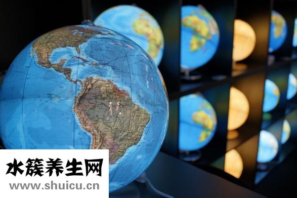 干海參怎么做