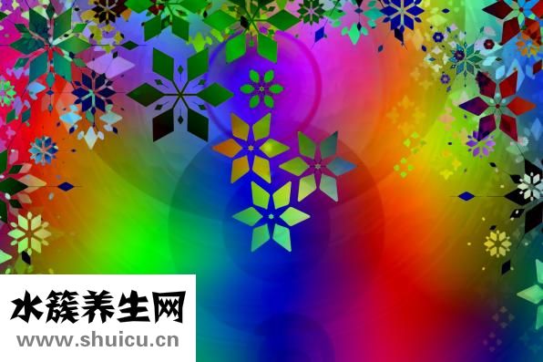 干海參怎么做