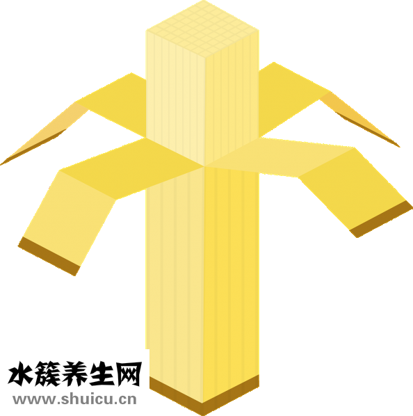 隆鼻怎么樣