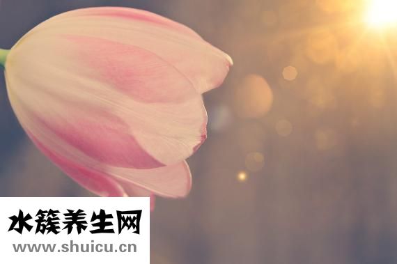 好煩怎么辦