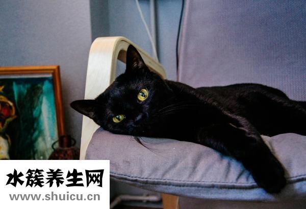 如何織毛衣
