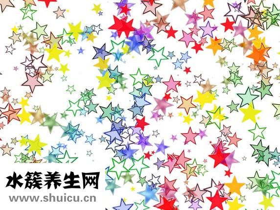 干海參怎么做