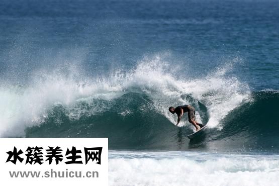 山藥是什么