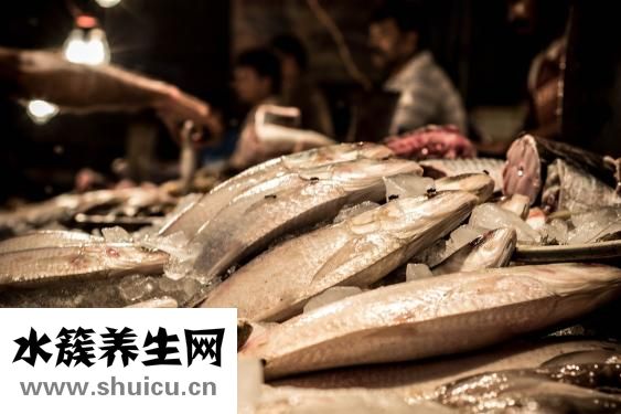 沙丁魚怎么做好吃