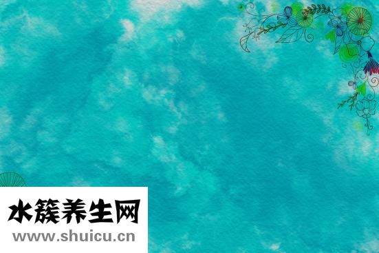 女人怎么豐胸