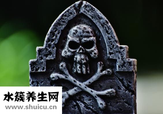 覆盆子是什么
