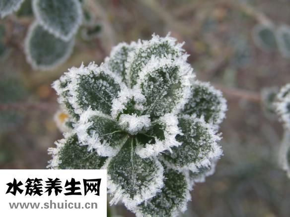 哪里豐胸好