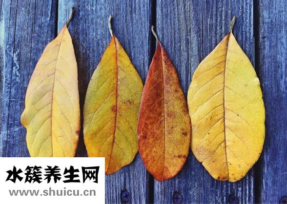 怎么炸帶魚