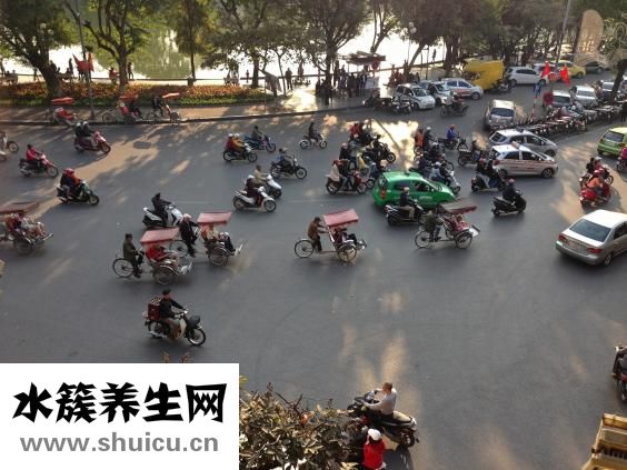 豬皮凍怎么做