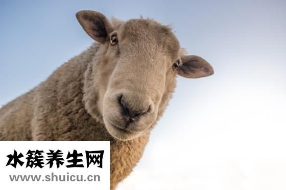 臉色發黃怎么辦