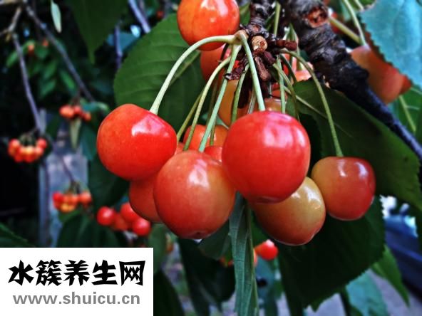 臉上有斑點怎么辦