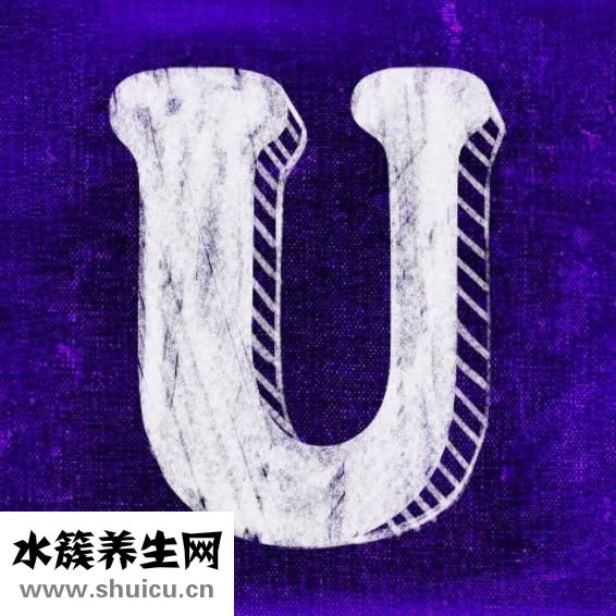 帶脈在哪里