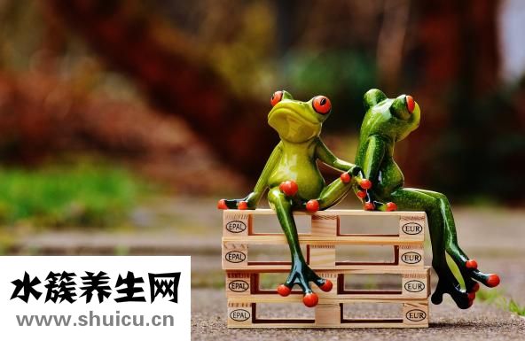吃什么藥補腎