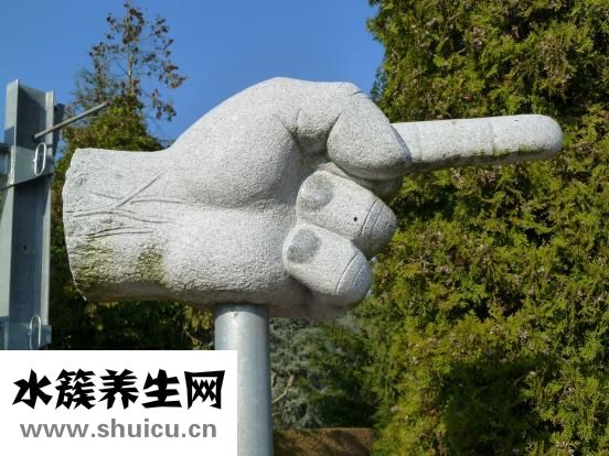 帶脈在哪里