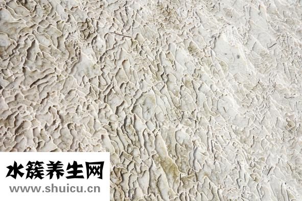 精華素怎么用