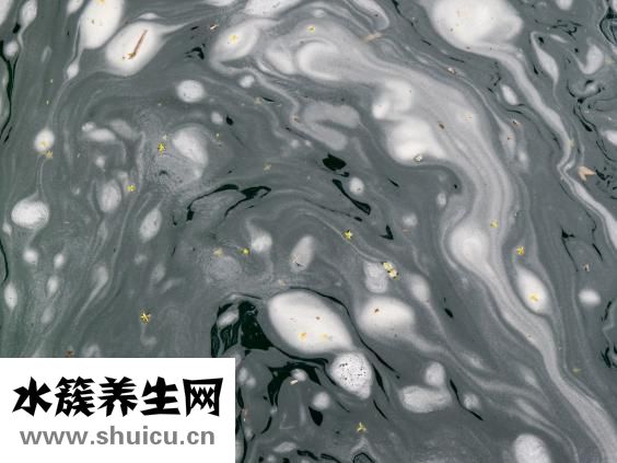 哪里拍婚紗好