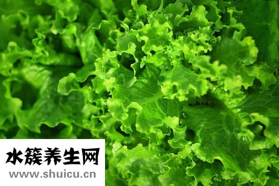 春節吃什么