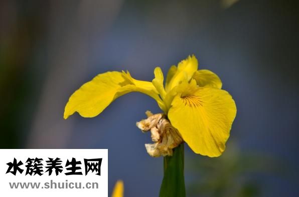 到底為什么