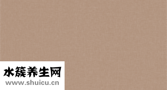 精華素怎么用