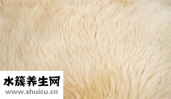 白發怎么辦