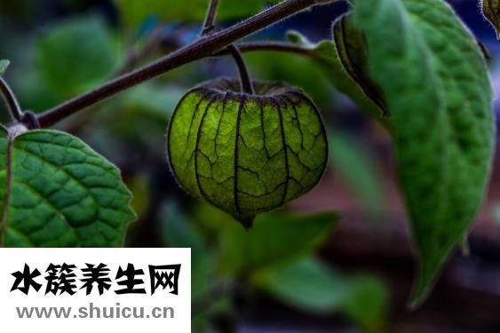氣溶膠是什么