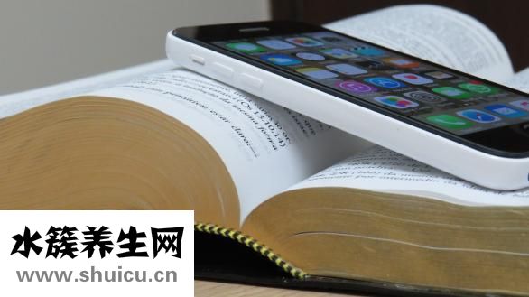 阿拉蕾是什么