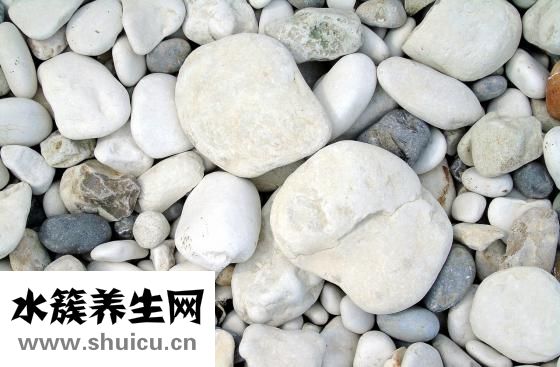 如何治療痔瘡