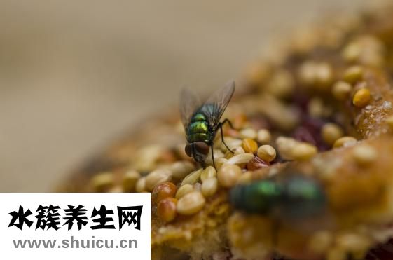 我該怎么做