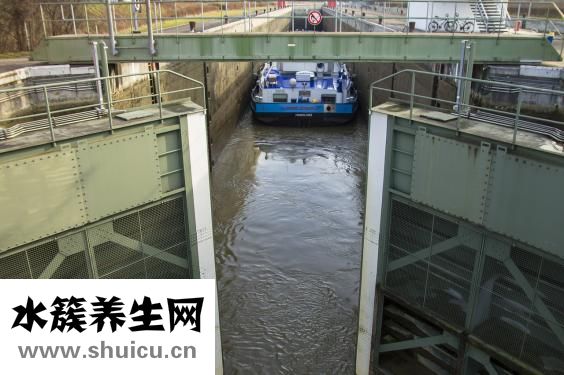 礦物油是什么