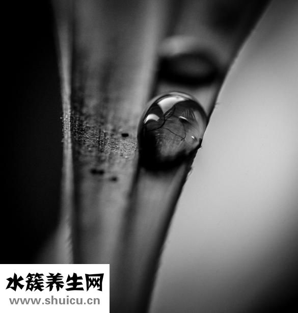 斑禿吃什么藥