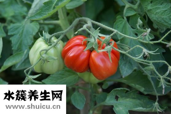 怎么治療眼袋