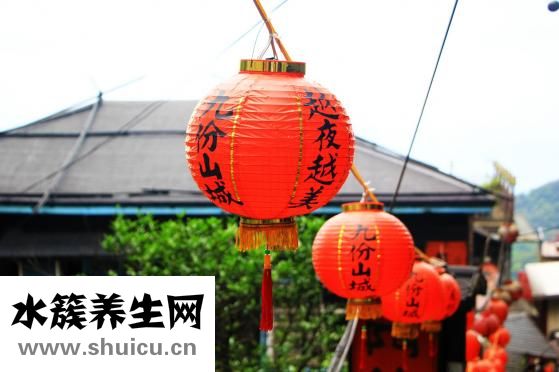 白頭翁吃什么