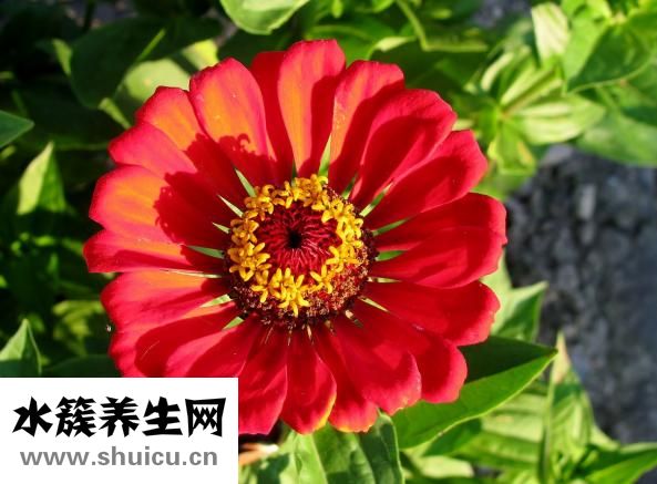 怎么用易經算卦