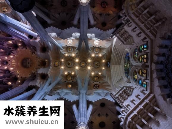 沙丁魚怎么做好吃