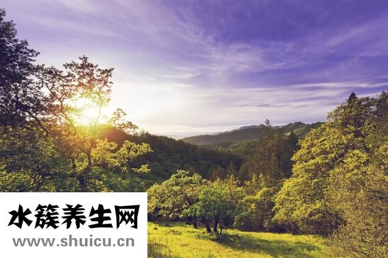 辟谷是什么