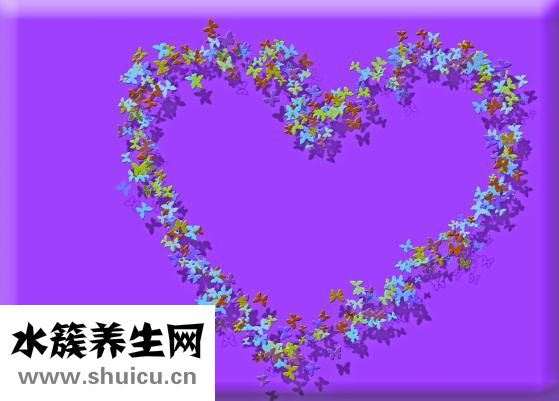 喜報怎么寫