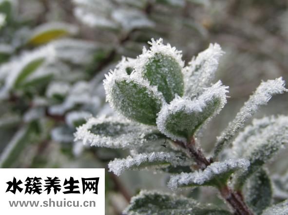 哪里豐胸好