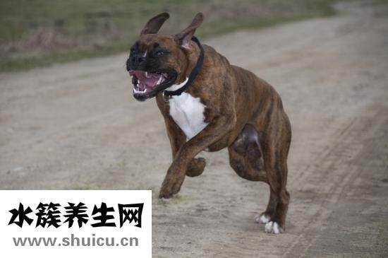 如何治療耳鳴