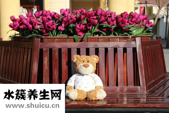 化療后掉頭發怎么辦