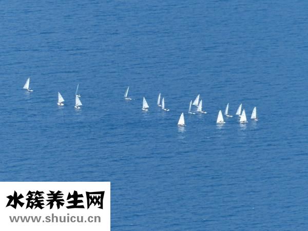 喜報怎么寫