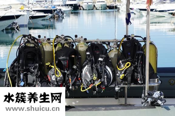 蠶沙是什么