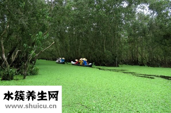 腹痛怎么辦
