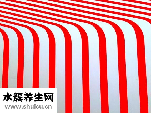 如何按摩豐胸