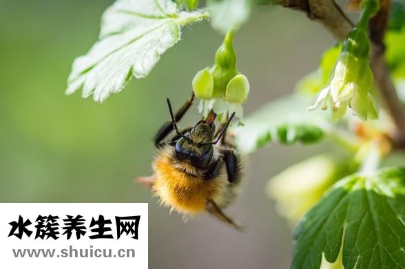 怎么樣能豐胸