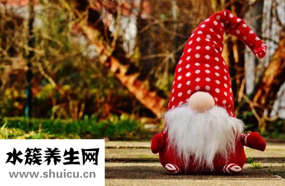 如何快速收錄